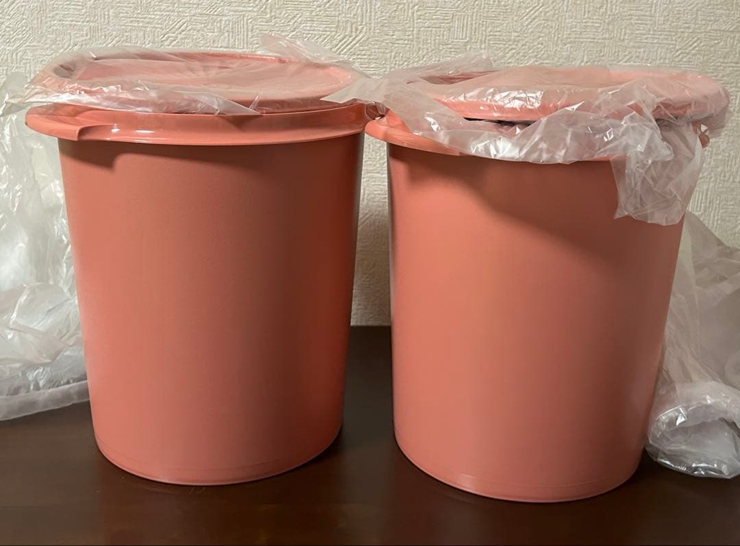 【新品】タッパーウェア　マキシデコレーター　5.5リットル　2個