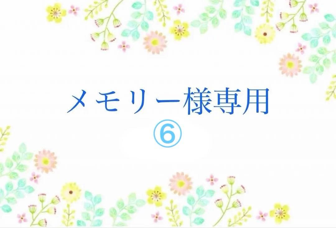 メモリー⑥