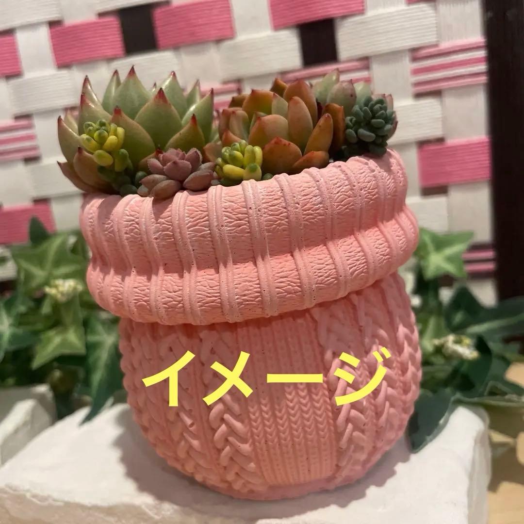 441★あみあみニット♡ モルタル雑貨　（お任せ植物付き）290