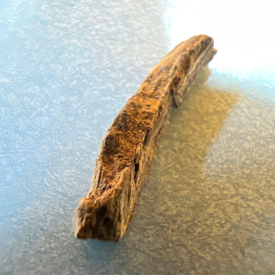 伽羅　香木　五味手本木　閑斎宗庵選　十種　歴史的銘香木