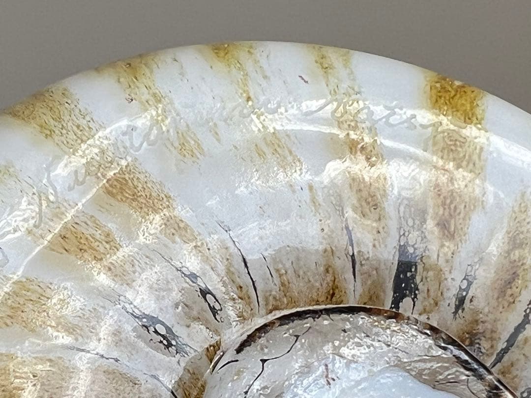 Eagle Owl フクロウ イッタラ バード オイバ・トイッカ