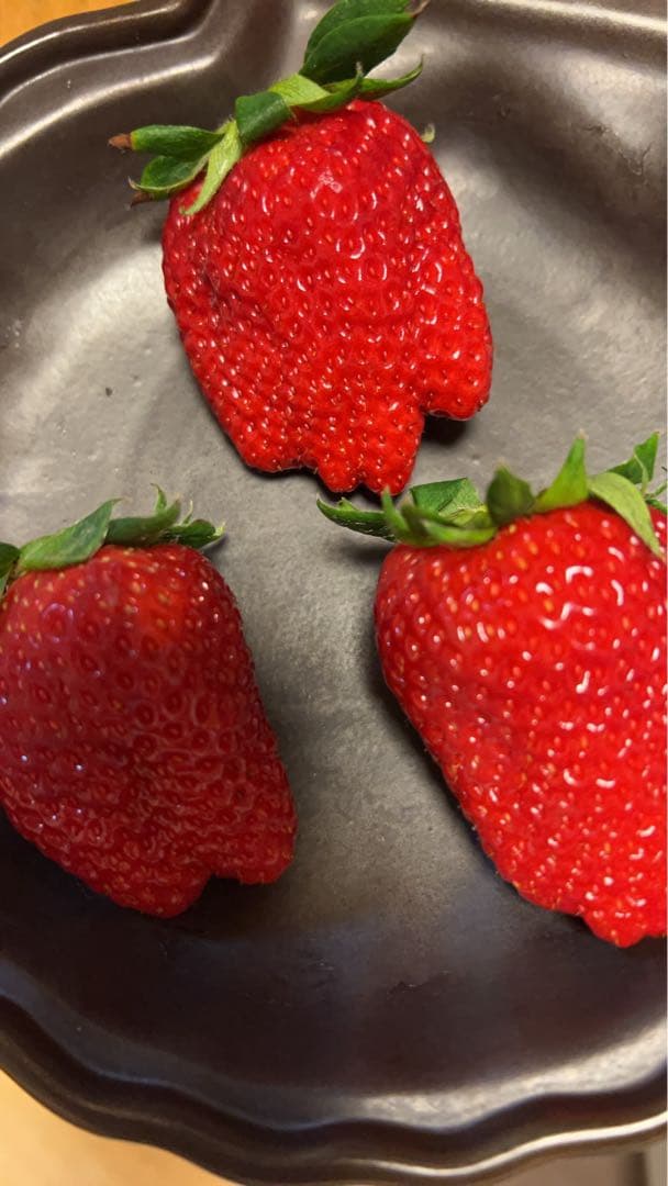 【新品】マイクロ波対策！電子レンジ専用　小判型磁性鍋