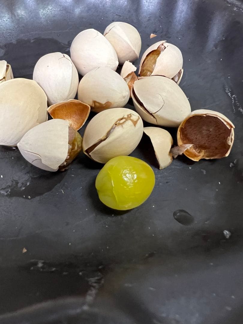 【新品】マイクロ波対策！電子レンジ専用　小判型磁性鍋