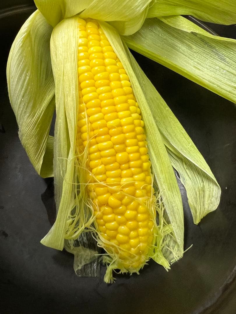 【新品】マイクロ波対策！電子レンジ専用　小判型磁性鍋