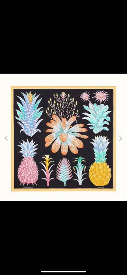エルメス スカーフ カレ90 Index Bromeliaceae 22年春夏