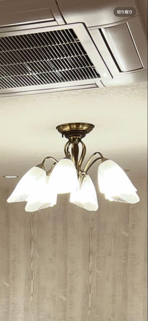昭和レトロ オーデリック フロストガラス6灯シャンデリア