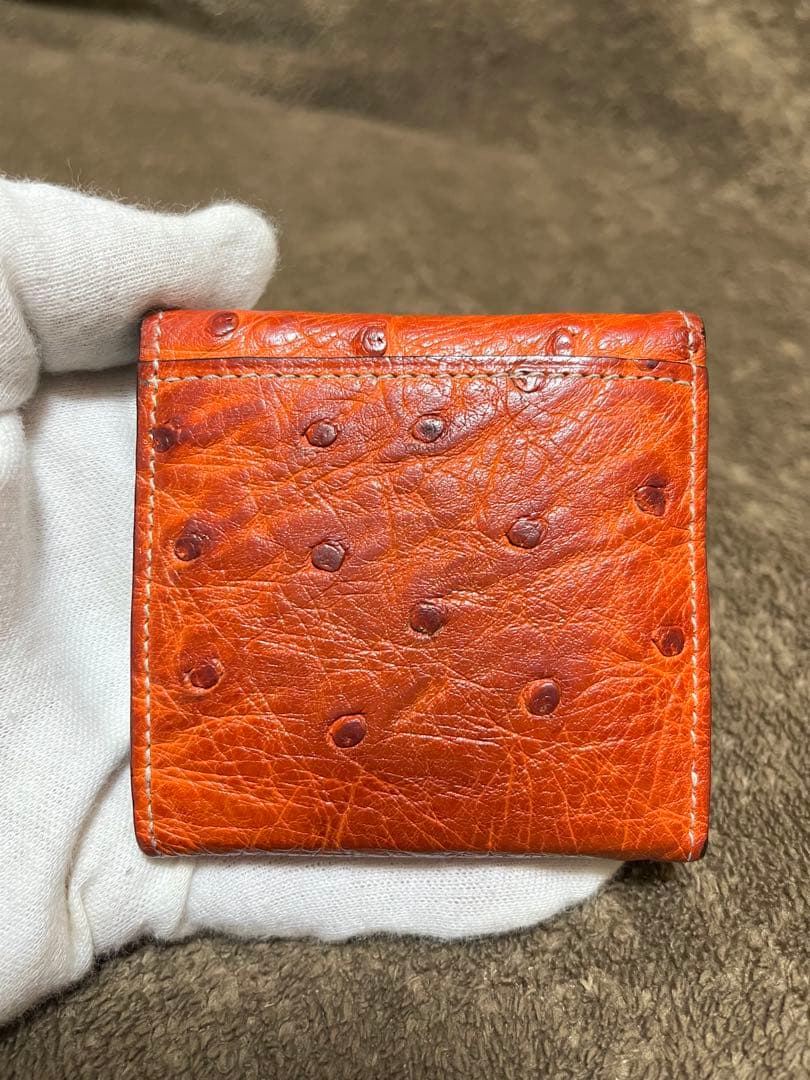 ガンゾ GANZO ケース 小銭入れ オーストリッチ エキゾチックレザー