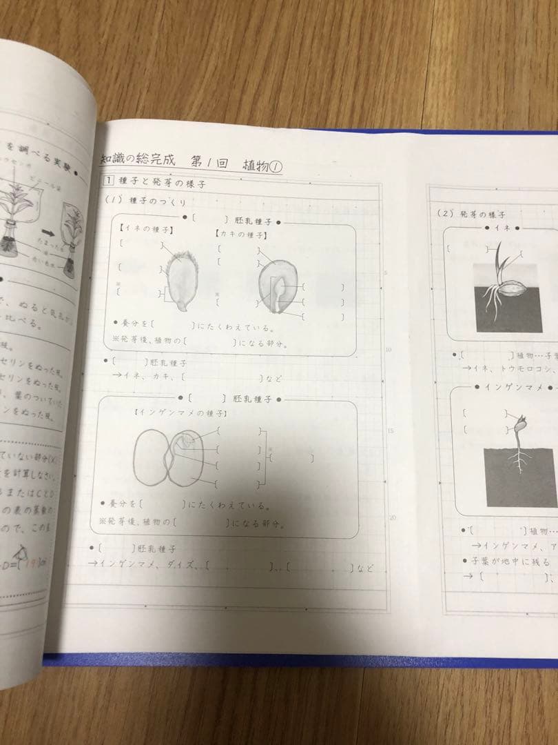 サピックス　知識の総完成