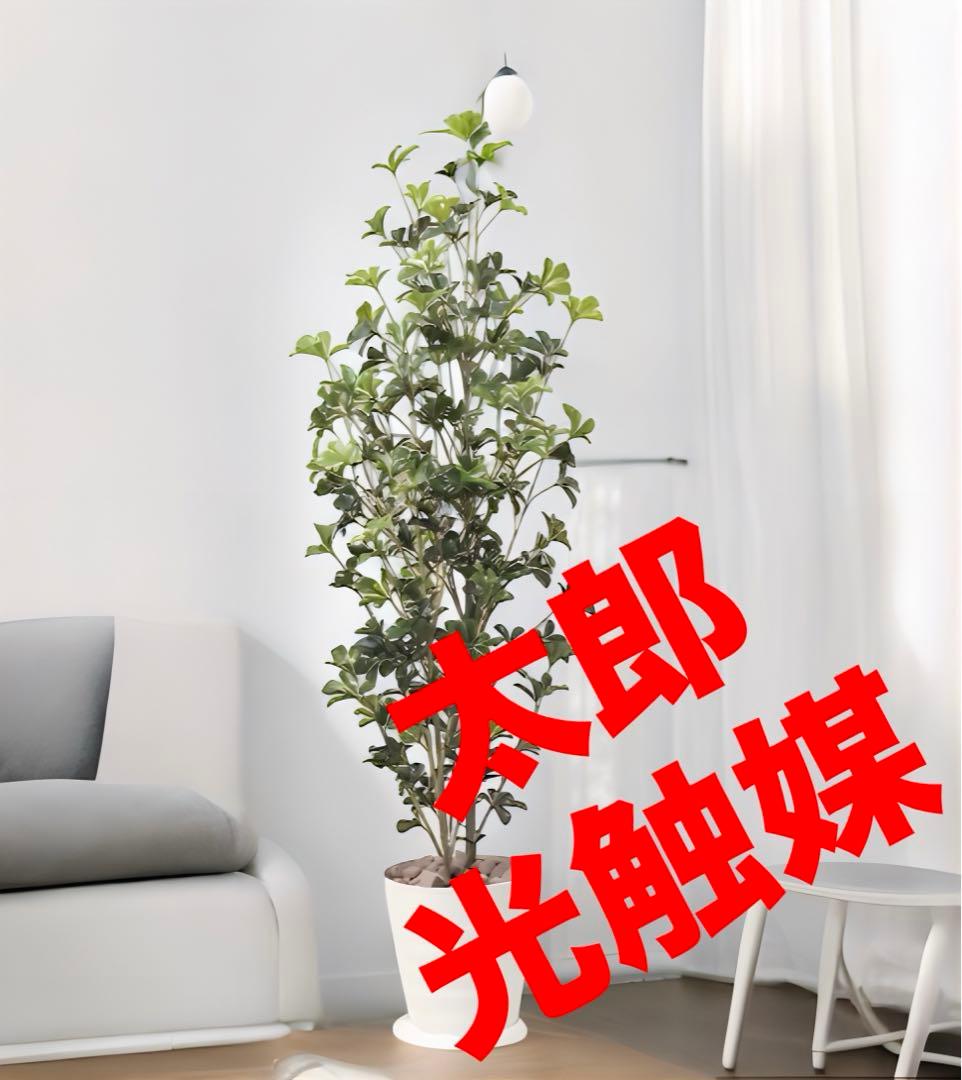 光触媒　人工観葉植物　ウォールグリーン　フェイクグリーン　シェフレラツリー1.7