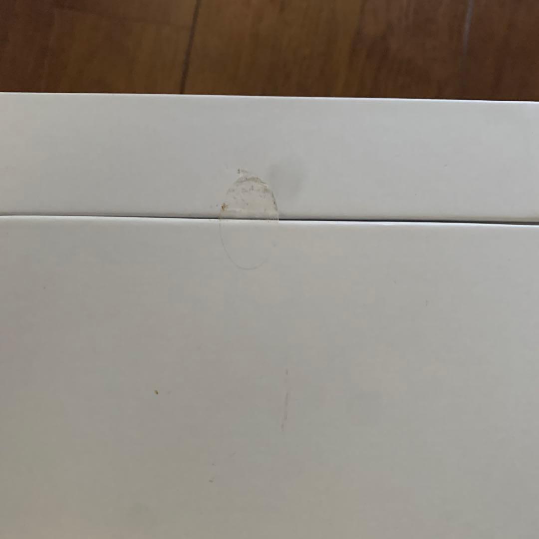 SALONIA ピュア ブライト スチーマー　グレー　新品未使用【最安値】