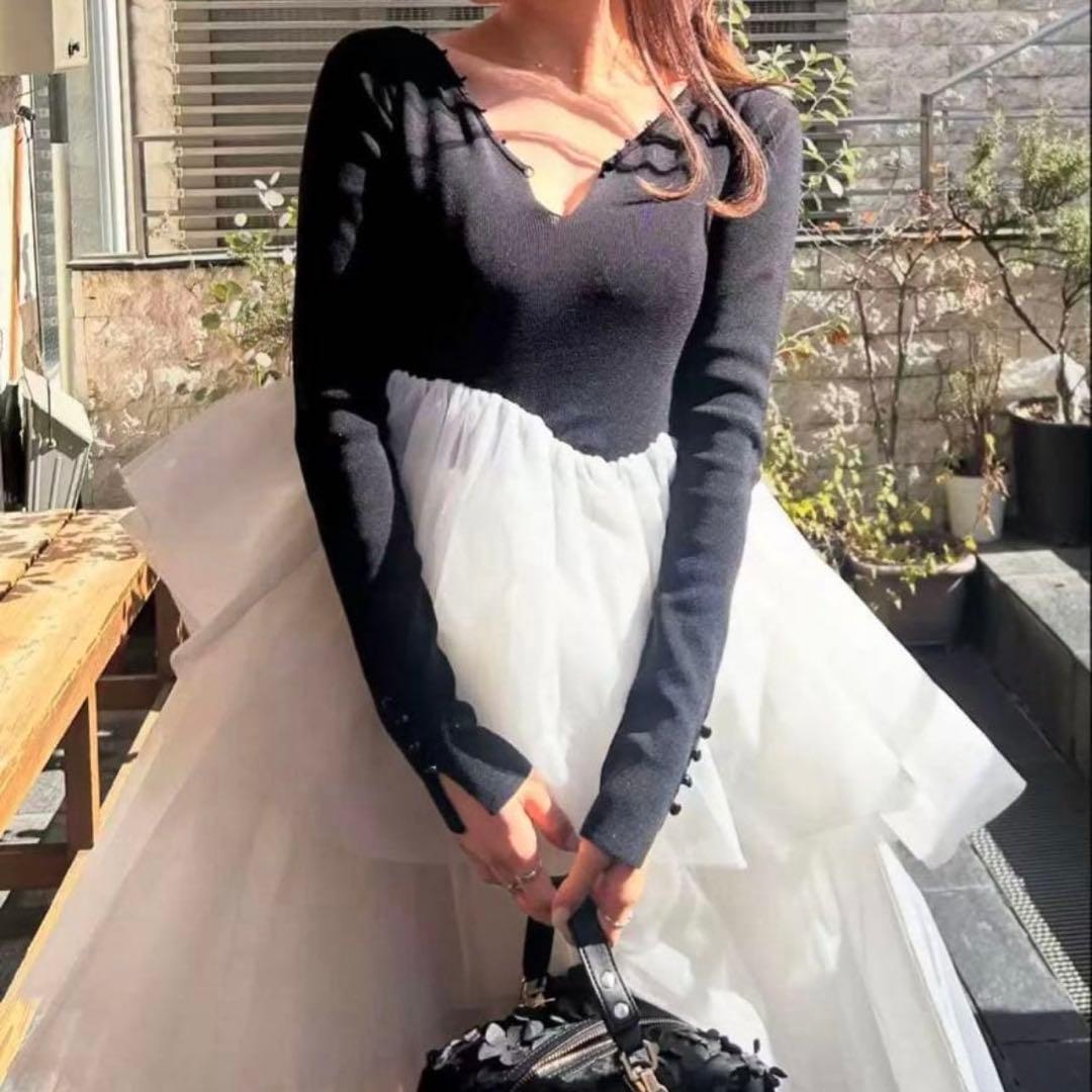 スカート Bibiy. DELPHINE TULLE DRESS