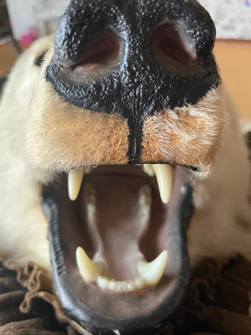 白熊　剥製　ラグ