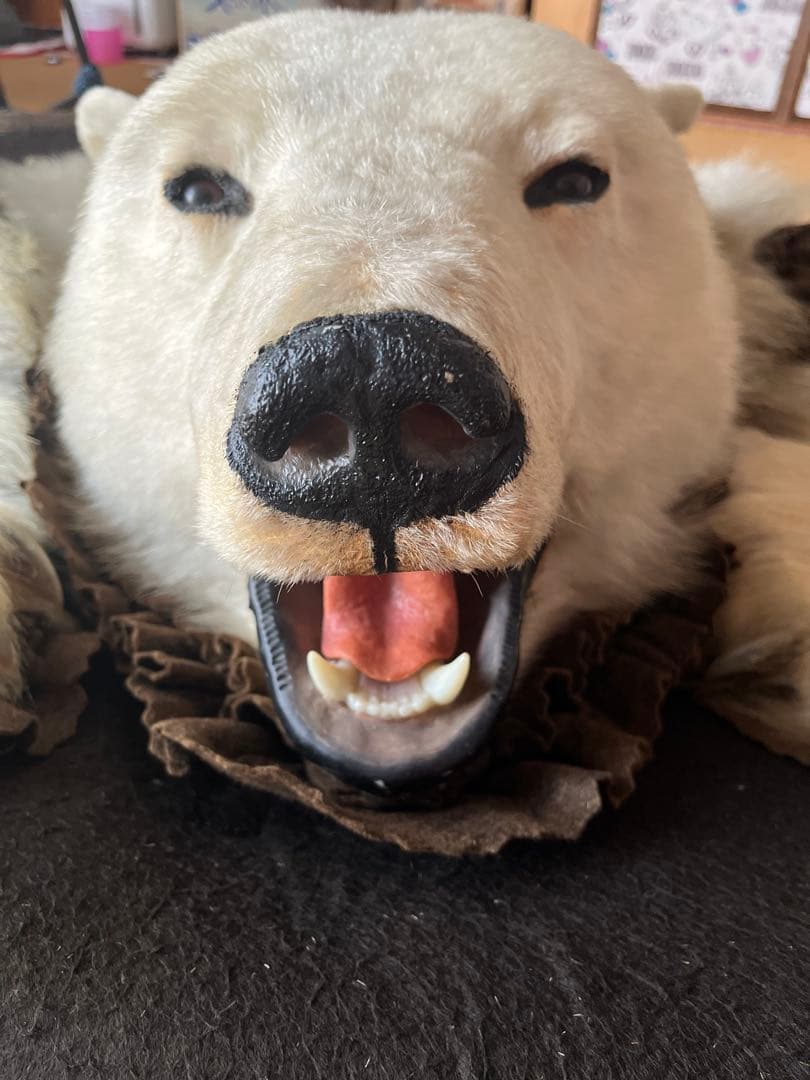 白熊　剥製　ラグ