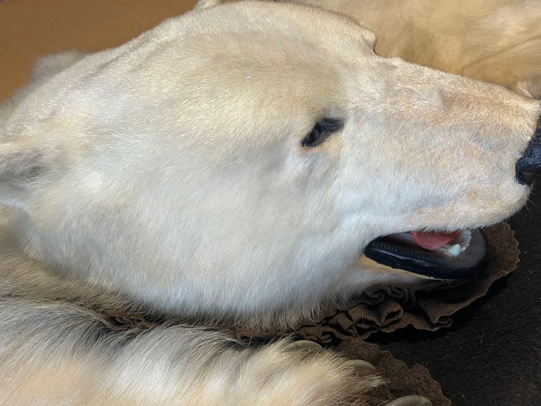 白熊　剥製　ラグ