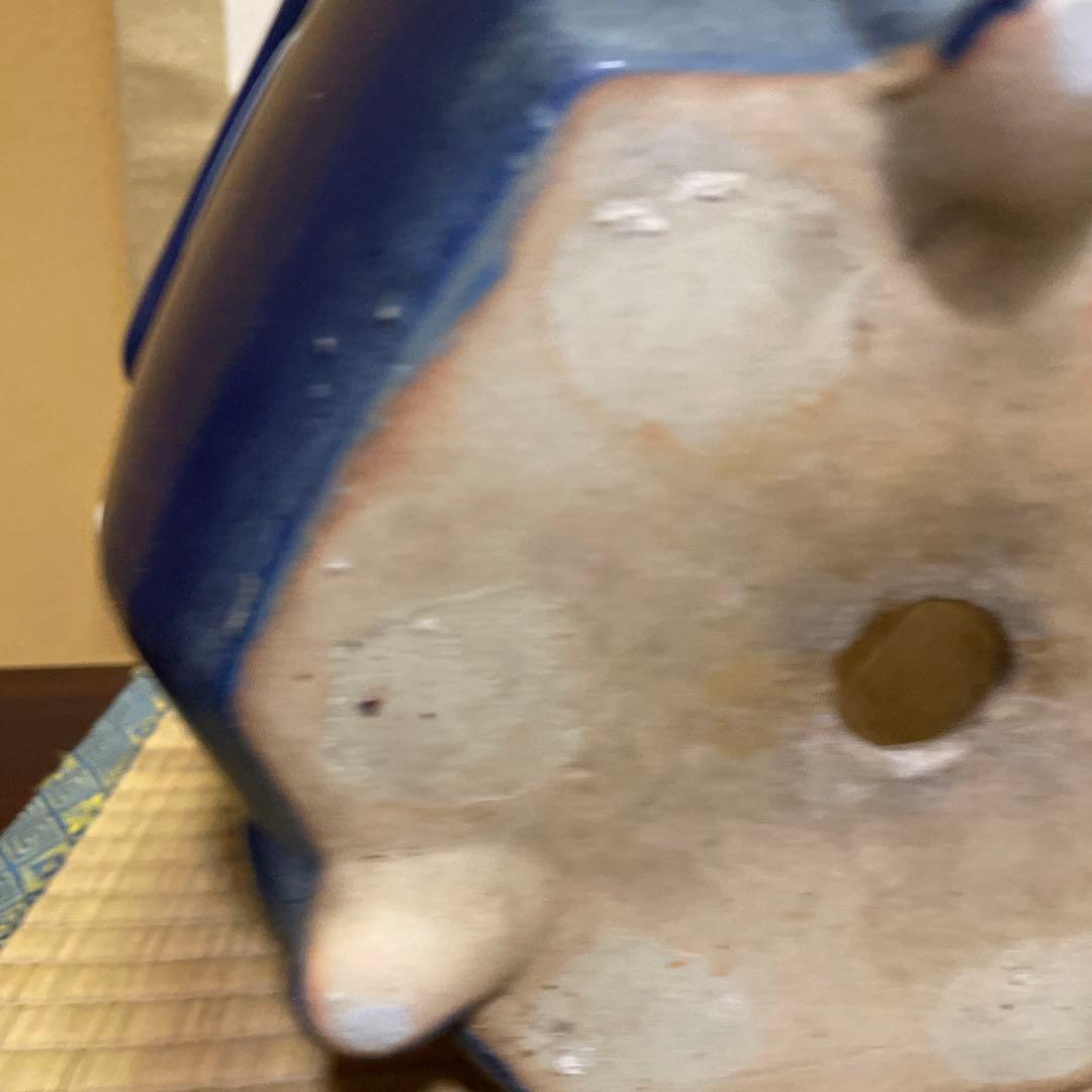 瀬戸焼 瑠璃釉 六角植木鉢 天山鉢 富貴蘭 山野草 盆栽 園芸 陶器製