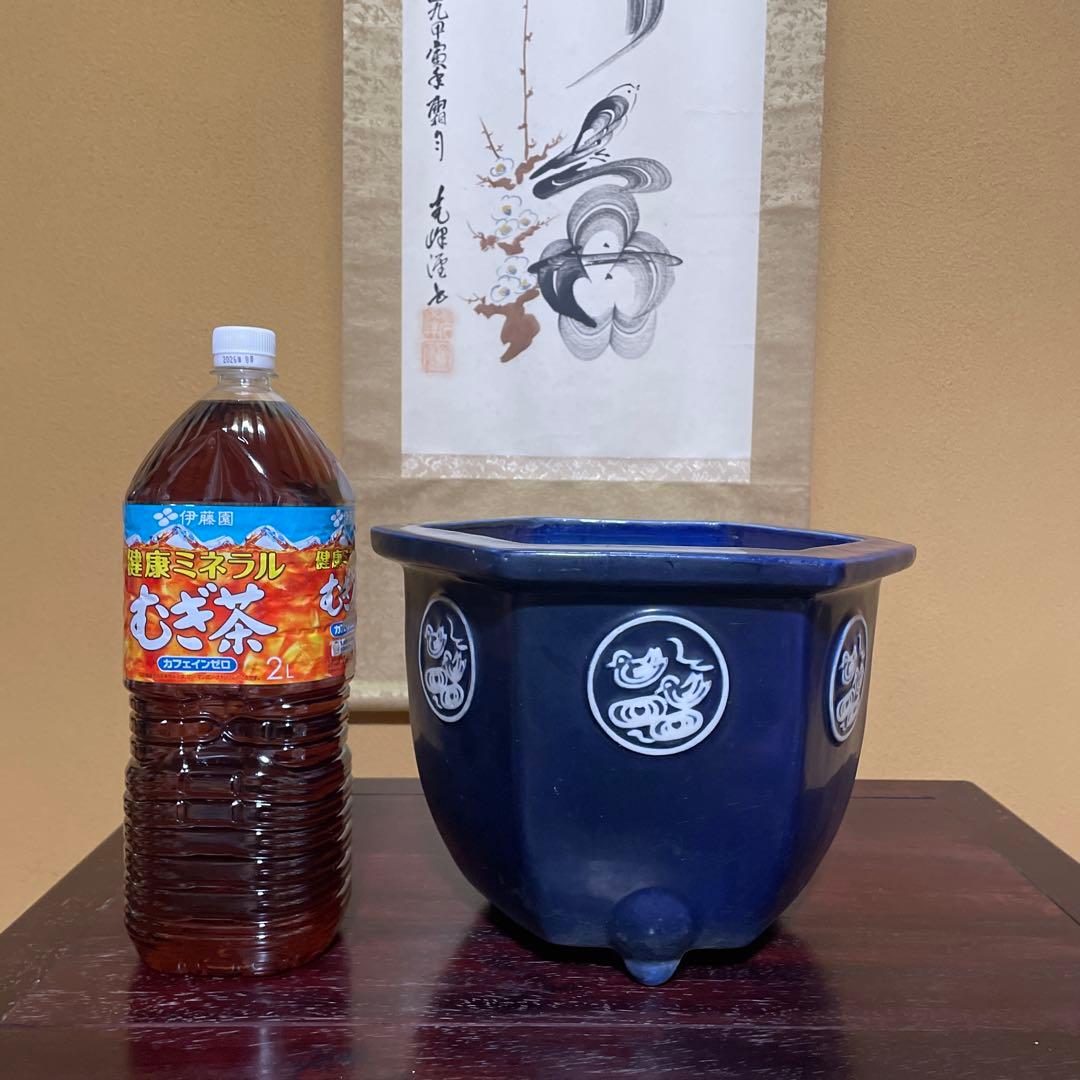 瀬戸焼 瑠璃釉 六角植木鉢 天山鉢 富貴蘭 山野草 盆栽 園芸 陶器製