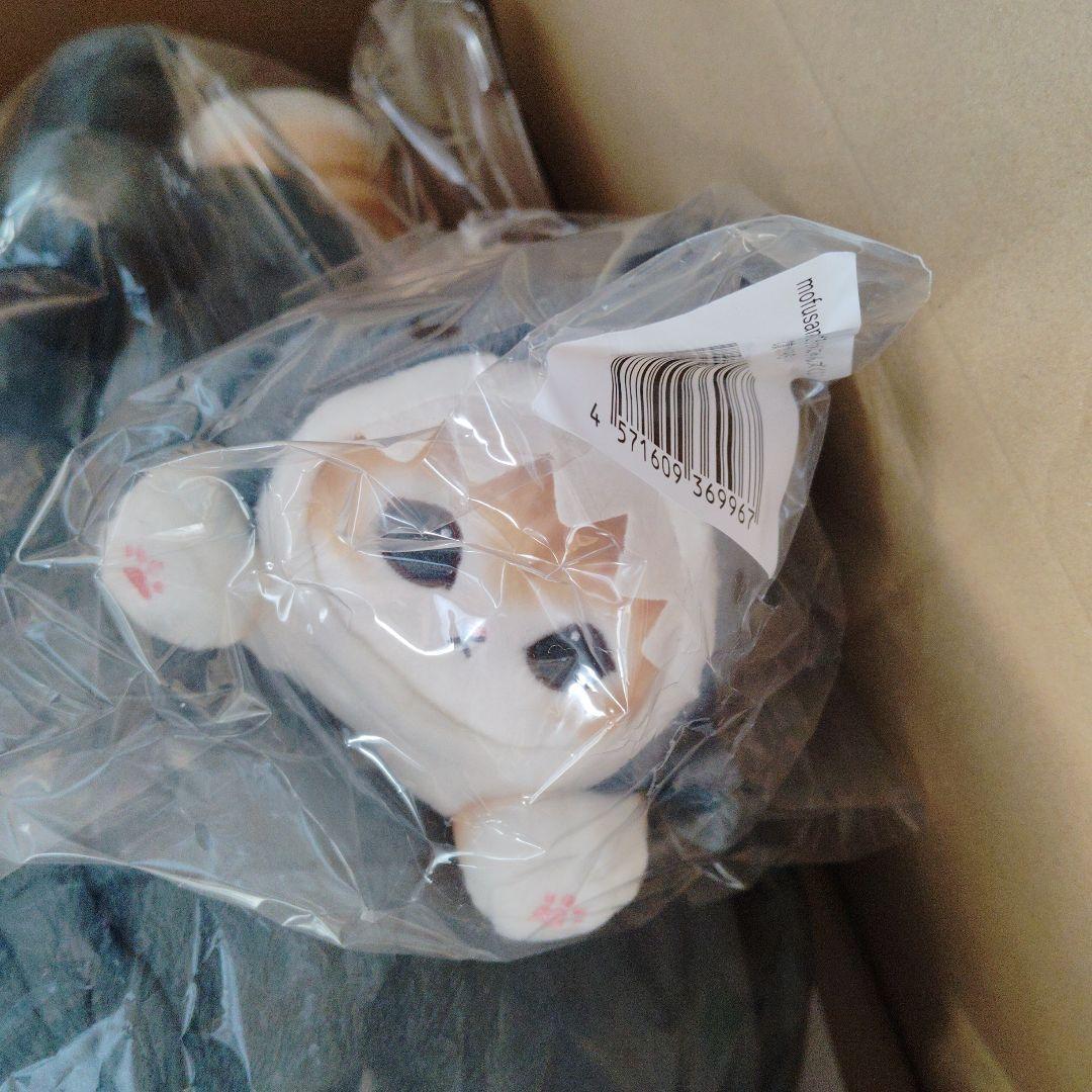 サメにゃんくじ A賞超特大ぬいぐるみ＆C賞ぬいぐるみ＆シャチにゃん3点セット