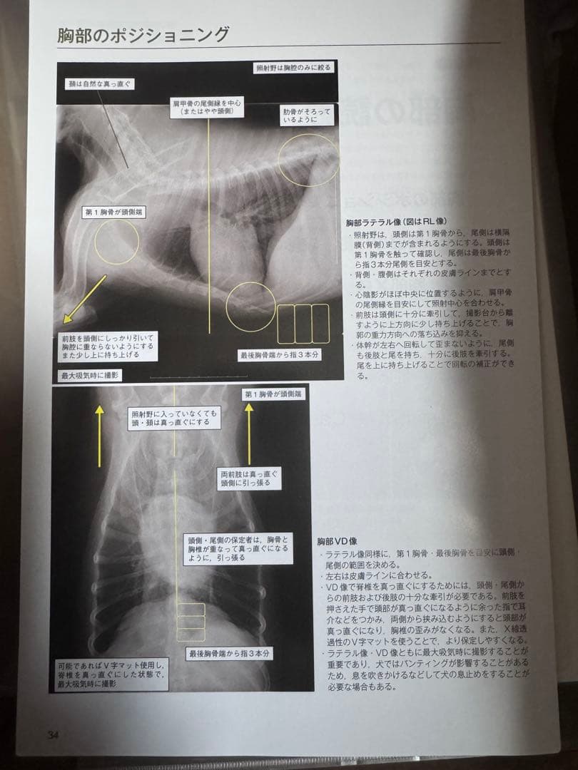 ＊裁断済み　思考プロセスを習得する　犬と猫のＸ線読影