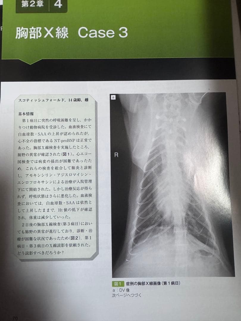 ＊裁断済み　思考プロセスを習得する　犬と猫のＸ線読影