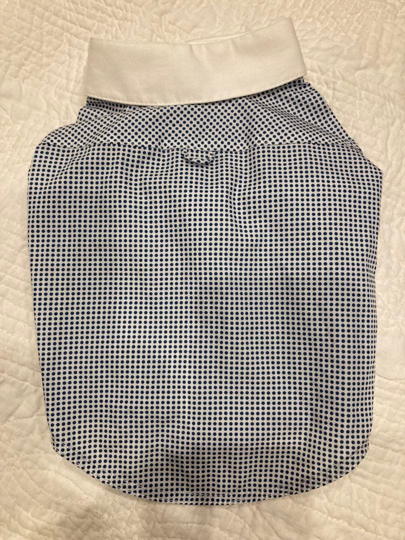 アトリエgg 正統派 白襟 シャツ