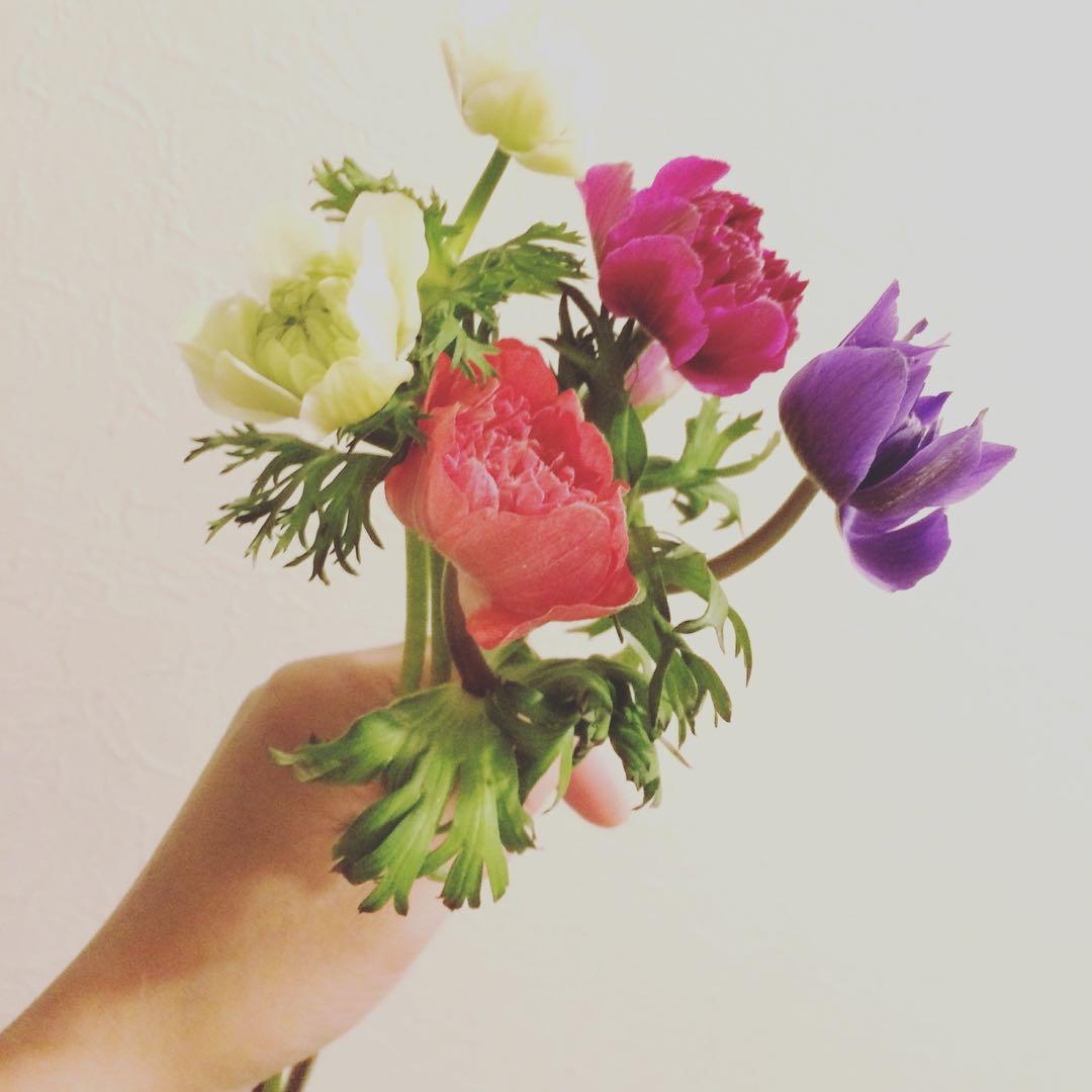 マメさま専用ページ