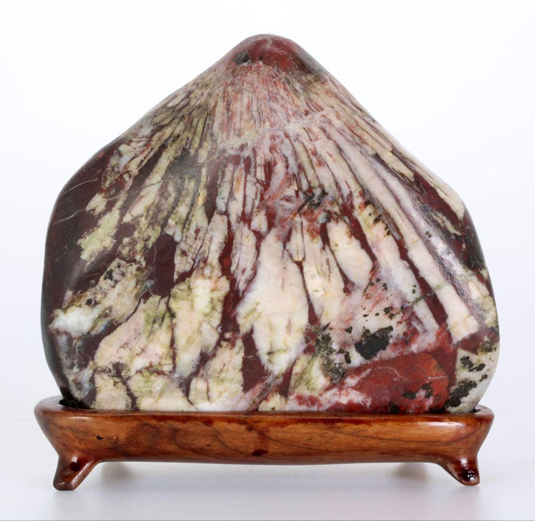 根尾川 菊花石 紋石 共箱 台座付 811g 鑑賞石 原石 自然石 水石 盆石