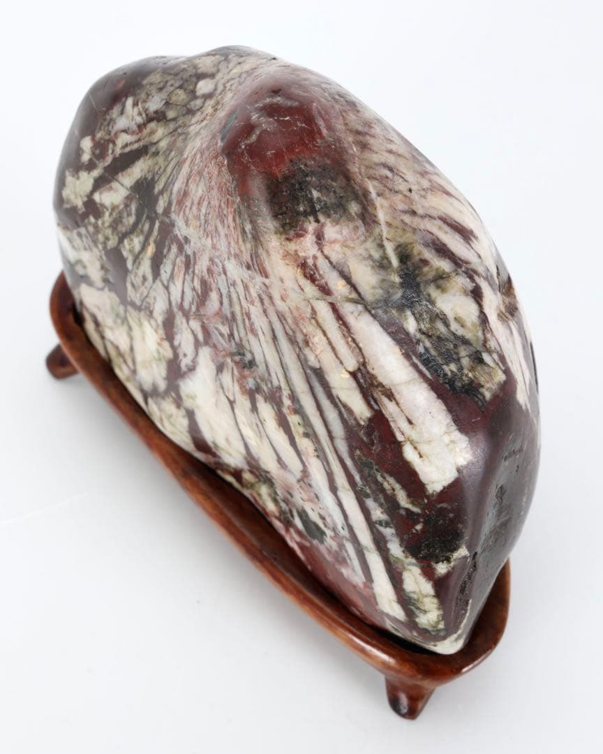 根尾川 菊花石 紋石 共箱 台座付 811g 鑑賞石 原石 自然石 水石 盆石