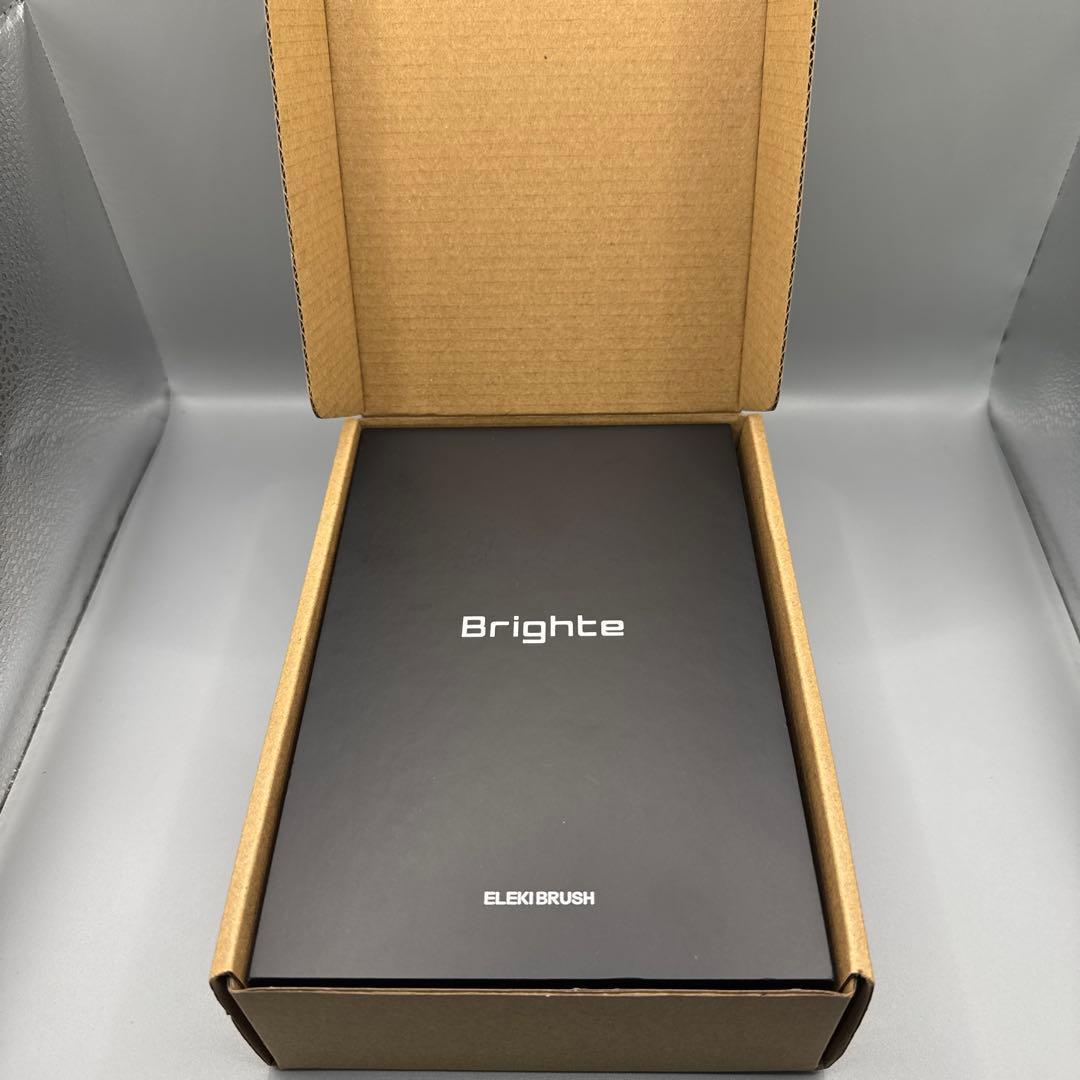 M1391 Brighte ブライト ELEKIBRUSH エレキブラシ