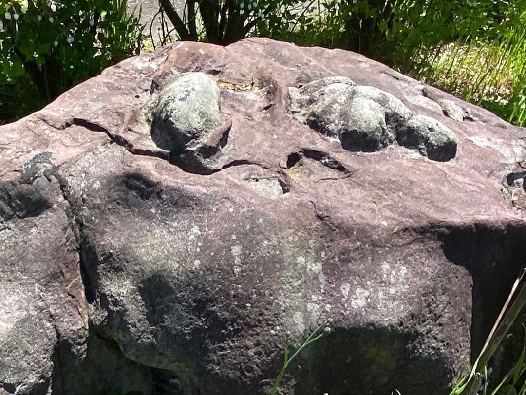 紫灰色 庭石 大 自然石 約130×70×55㎝【石川県引き取り】まとめ割