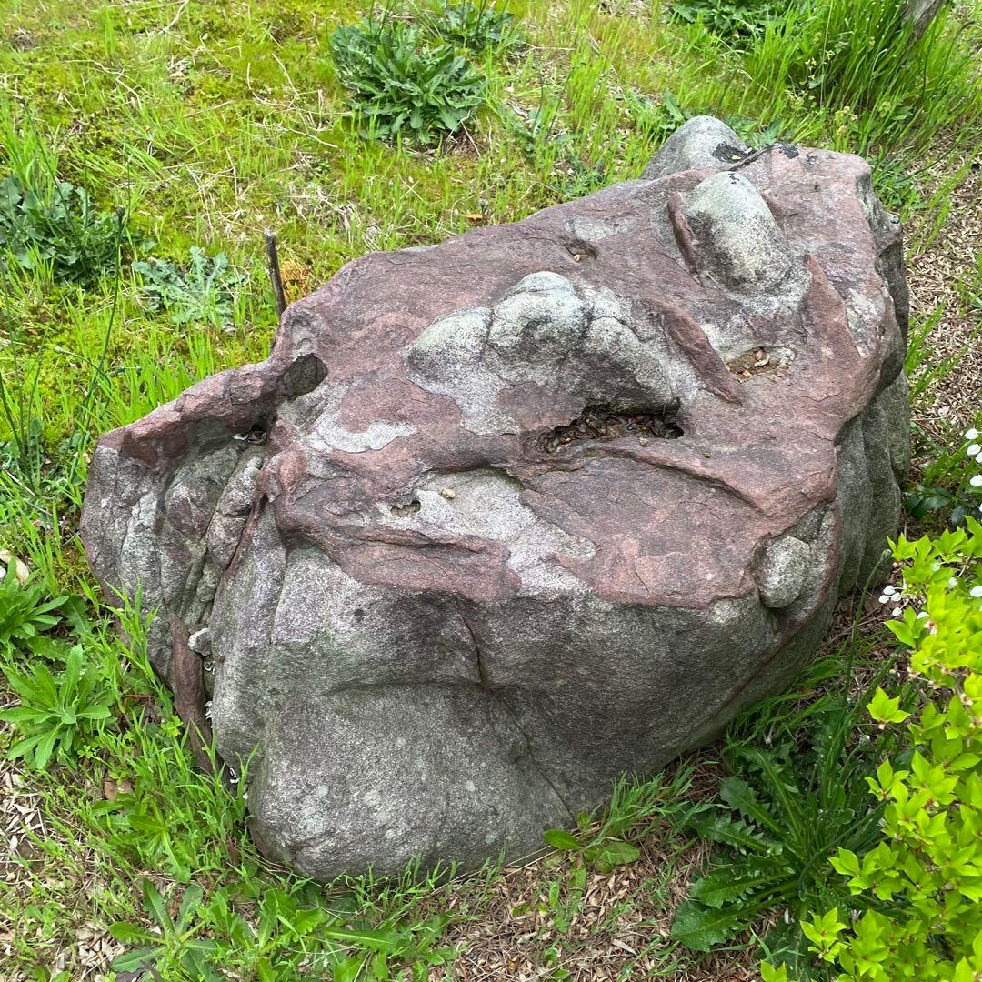 紫灰色 庭石 大 自然石 約130×70×55㎝【石川県引き取り】まとめ割