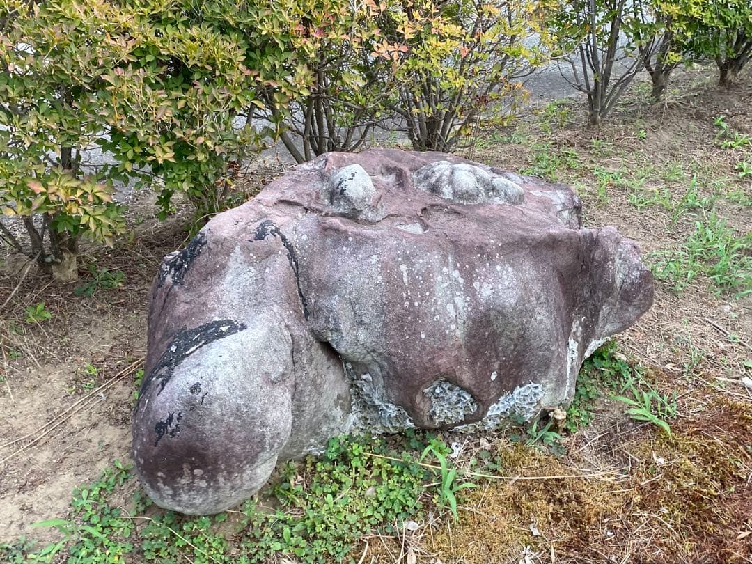 紫灰色 庭石 大 自然石 約130×70×55㎝【石川県引き取り】まとめ割