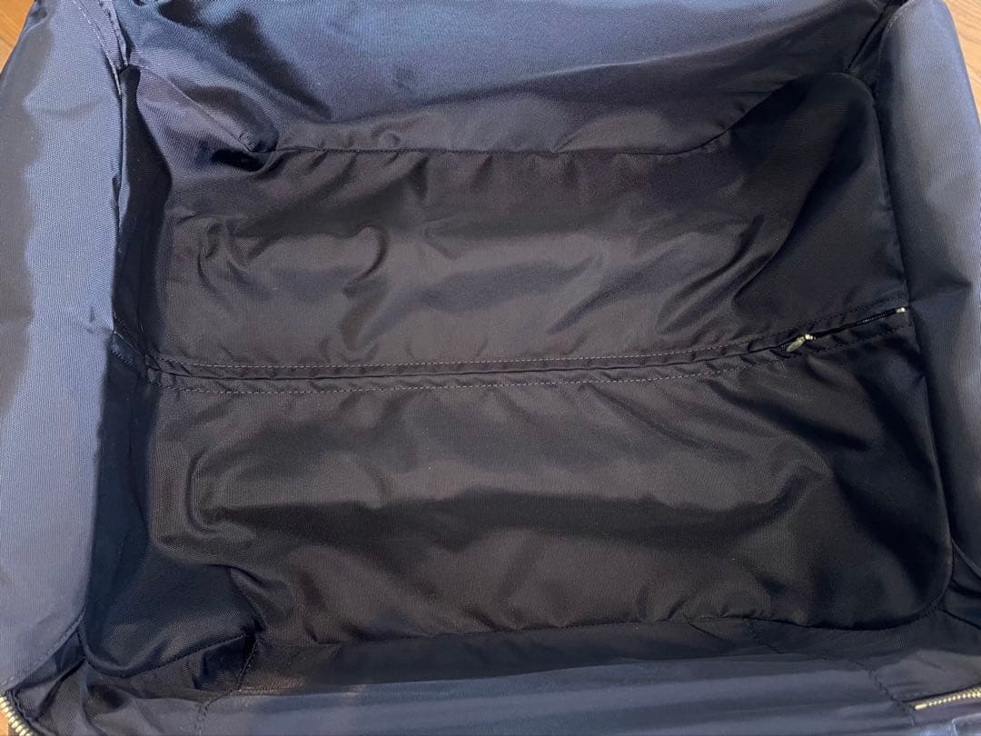 ルイ・ヴィトン モノグラム ベルニ ペガス45 キャリーバッグ