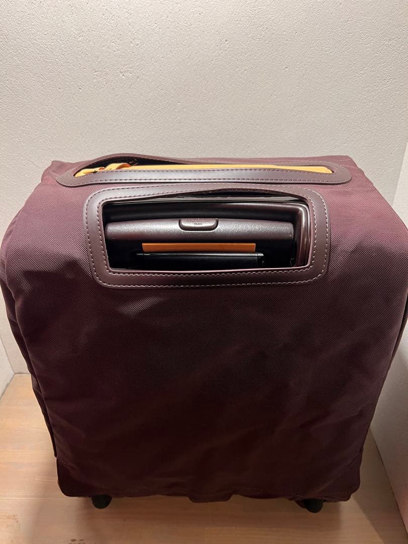 ルイ・ヴィトン モノグラム ベルニ ペガス45 キャリーバッグ