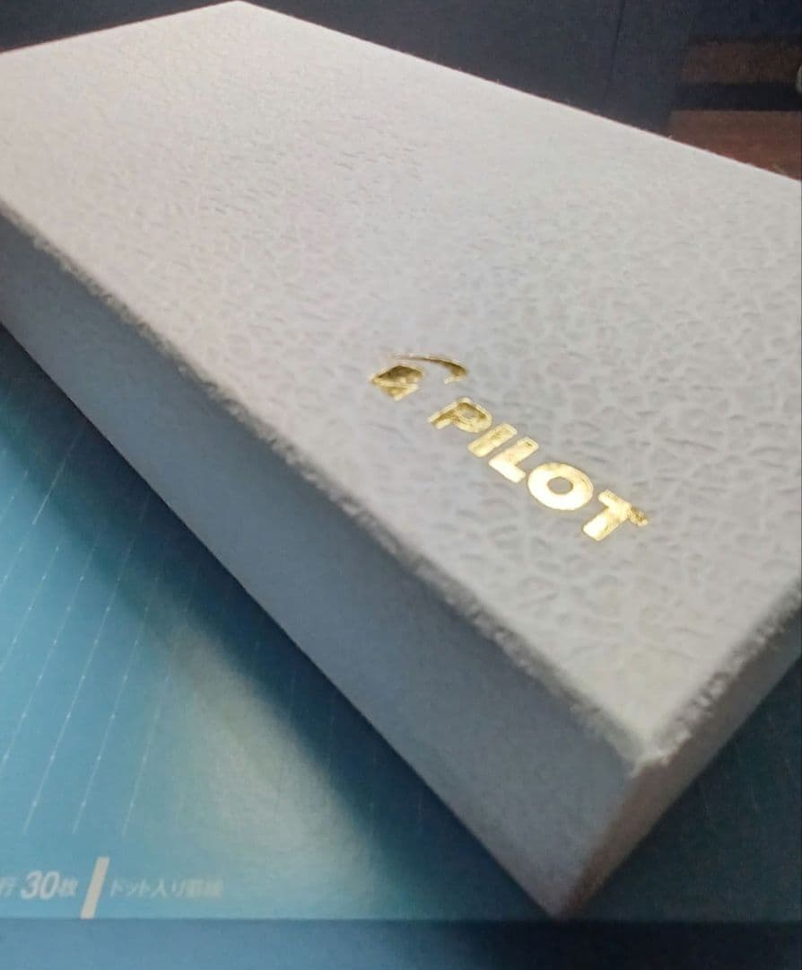 カスタム845 万年筆 パイロット PILOT 完品 M エボナイト