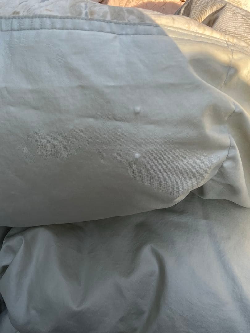 大阪西川　羽毛布団　ダウン92% 1.3キロ　花柄　シングル