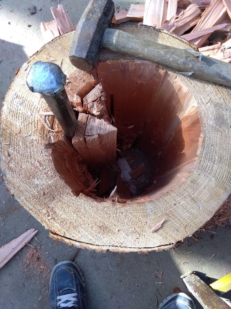 みつばち飼育箱、昆虫飼育用 中空洞木材 杉材 樹洞 くり抜き 丸洞 丸太