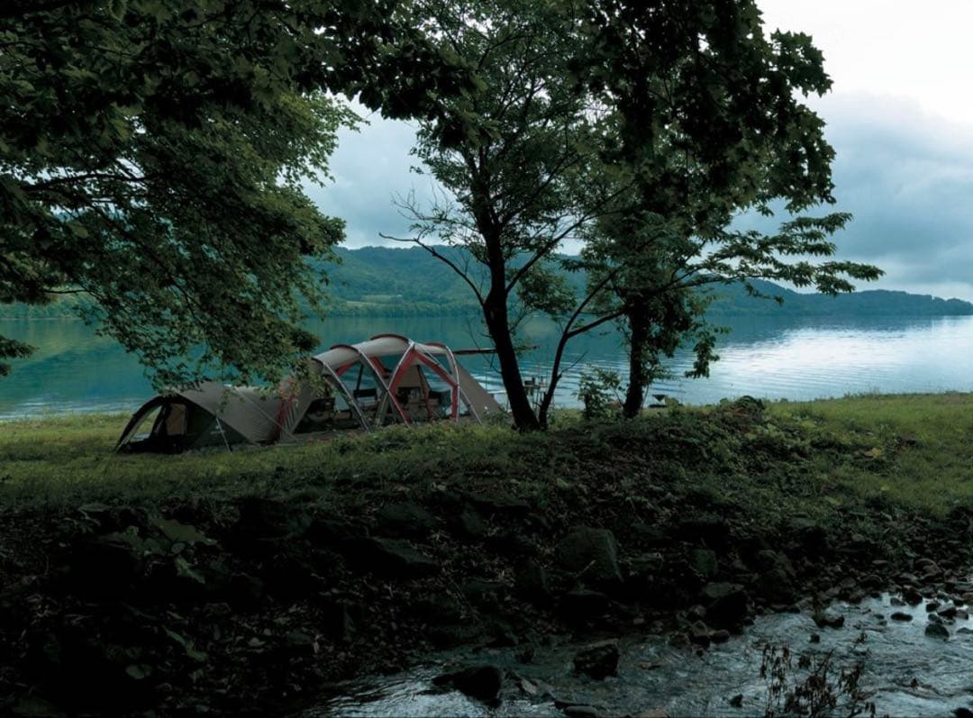 【新品未使用】リビングシェルロング Pro.