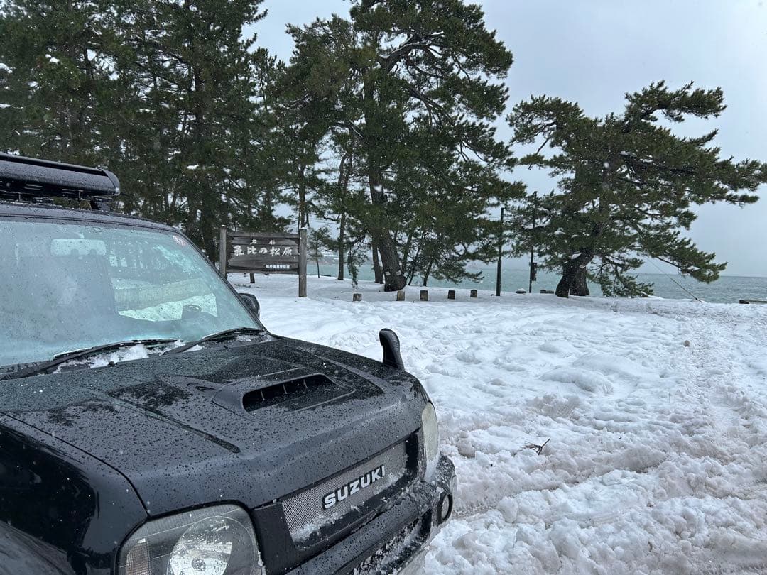 確認用　大雪ドライブ　長浜城　愛犬　玉玉　トラ