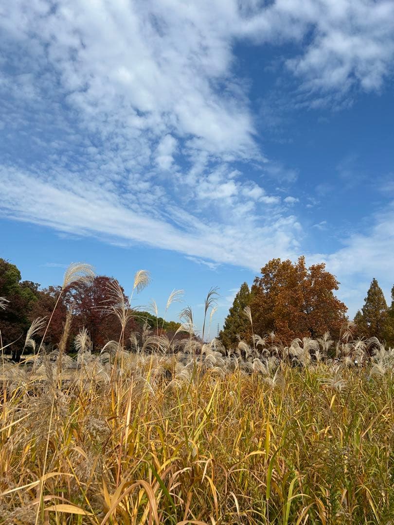 確認用　大雪ドライブ　長浜城　愛犬　玉玉　トラ