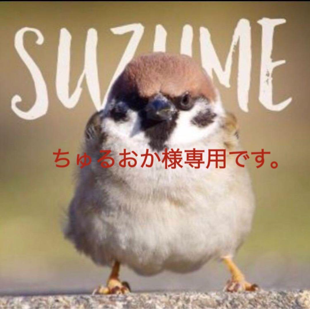 ゼファーχ用シート　しじみシート　【ちゅるおかです。】