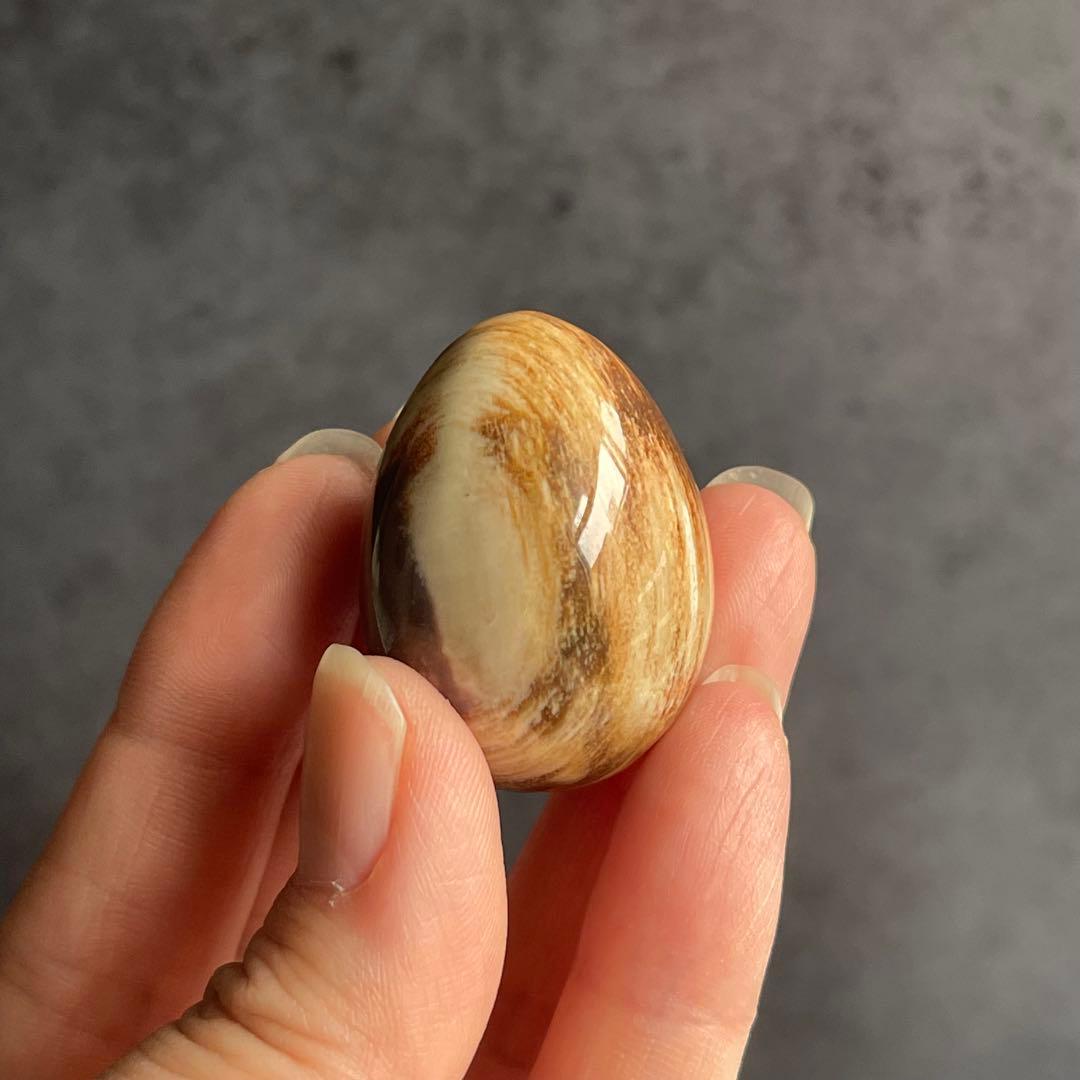 ペトリファイドウッド ミニegg 珪化木