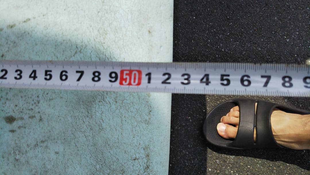 キャッチサーフ オデシー ソフトボード