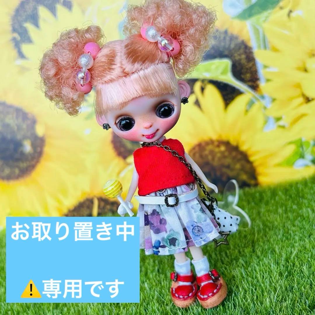 プチブライスカスタム おさかな☆ドール