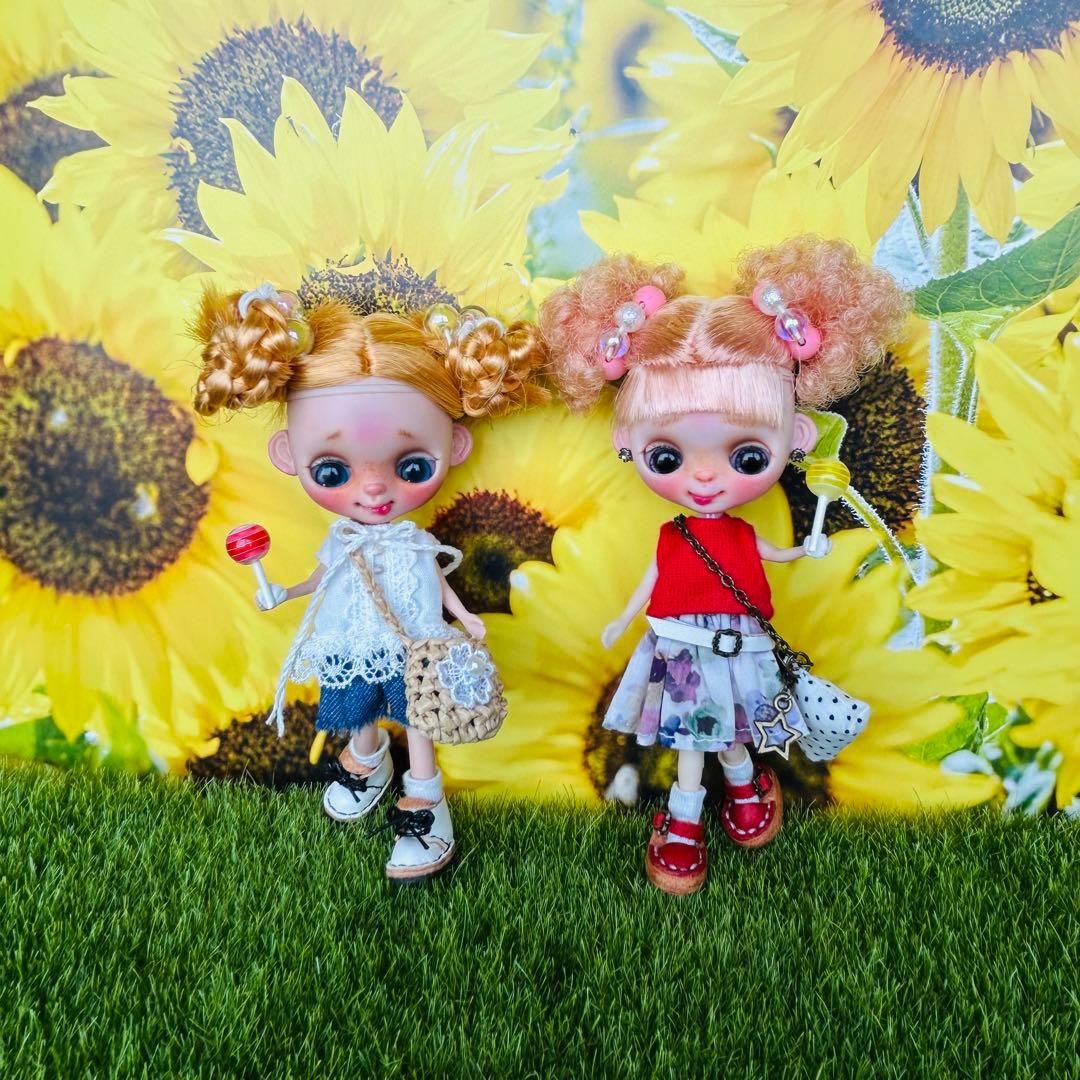 プチブライスカスタム おさかな☆ドール