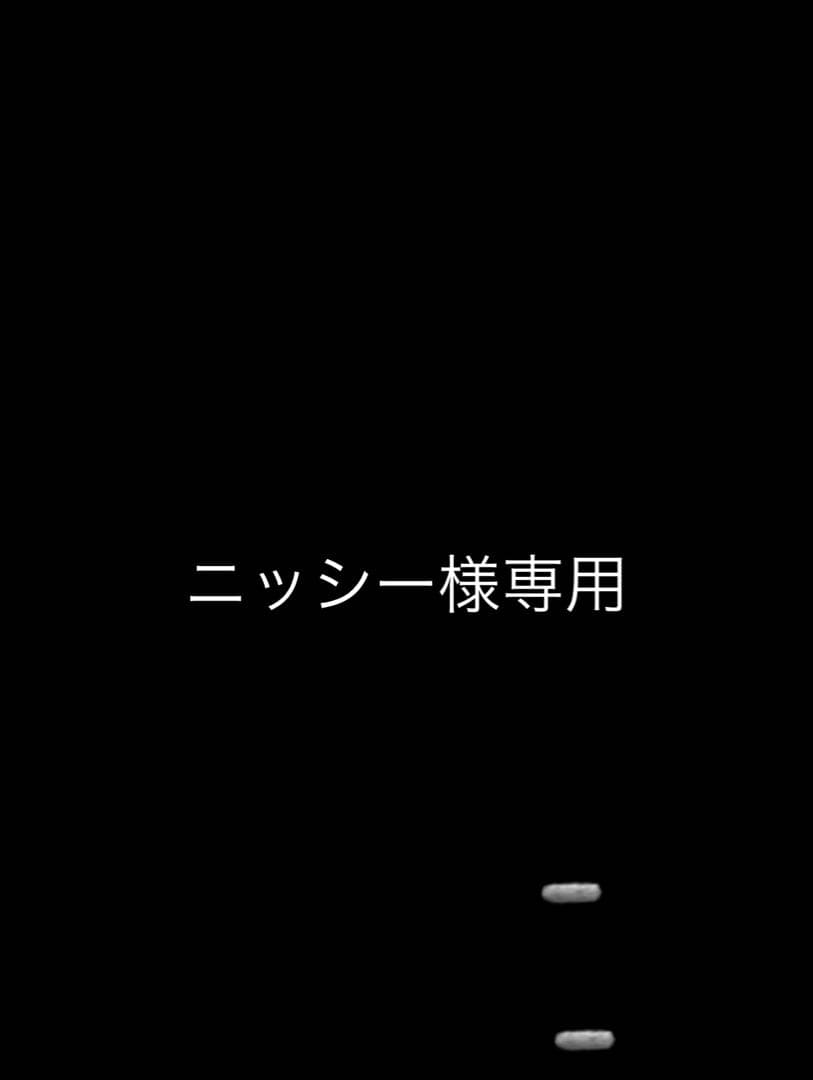 ニッシー　MAZUME EXTRA COMPLEX フィッシングベスト