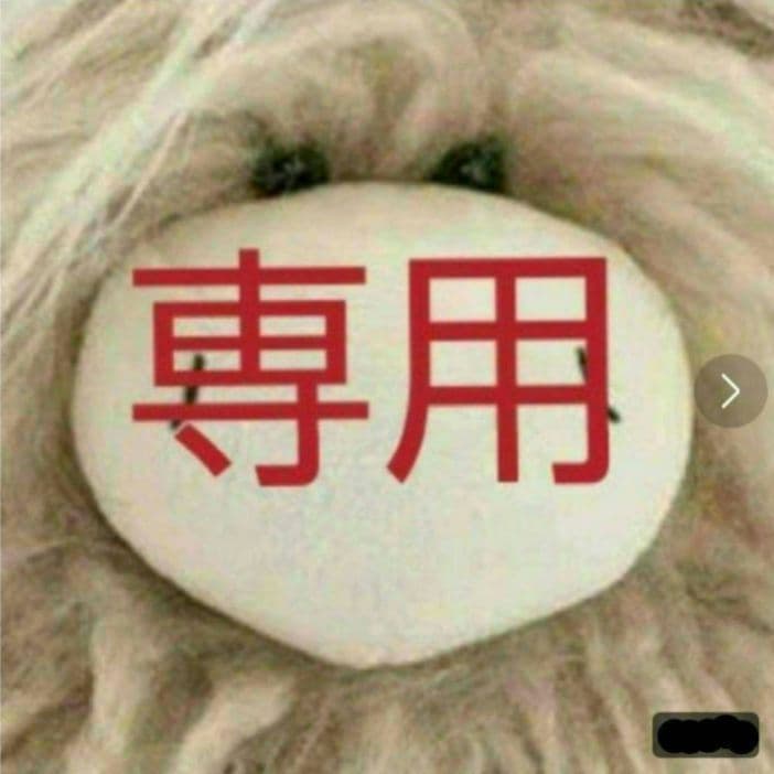 専用　ぬいぐるみ ２体