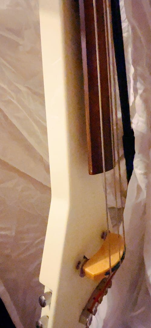 Warwick Rock Bass Triumph Lite アップライトベース