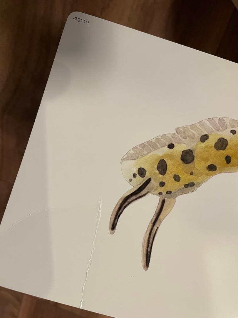 しちだ式　かな絵ちゃん　ABCセット①