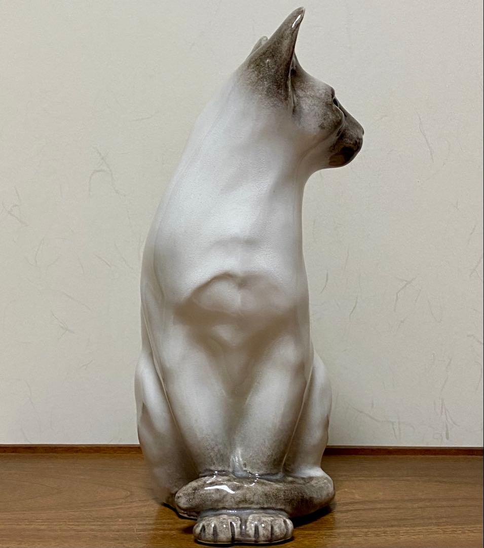 ウィンスタンレイキャット　ケンジントンキャット　寒色系シャム猫　サイズ5