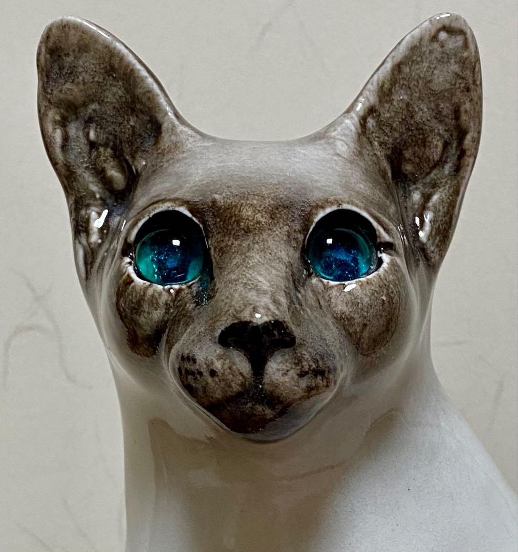 ウィンスタンレイキャット　ケンジントンキャット　寒色系シャム猫　サイズ5